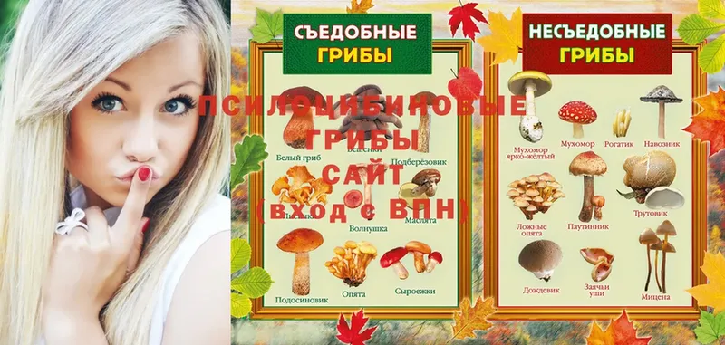 Псилоцибиновые грибы Magic Shrooms  Лихославль 